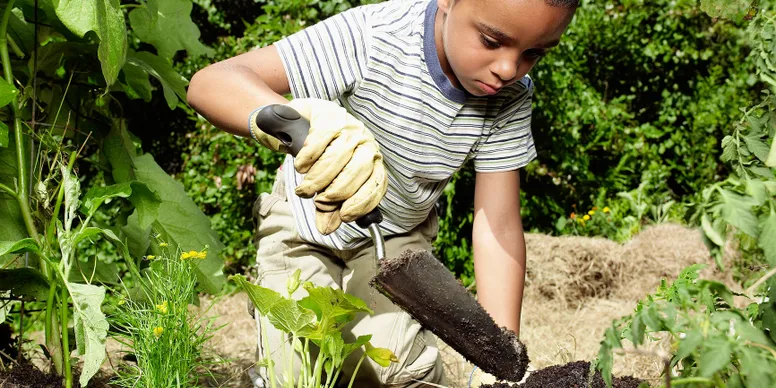 Kid digging soil in vegetable patch