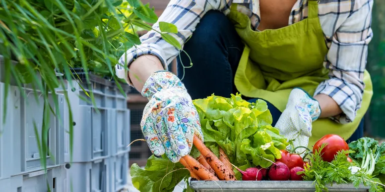 Gardening with colorful fruits and vegetables